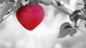 8 Tips Cara Mencegah Penyakit Jantung