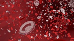 Mengenal Sel Darah Merah: Pengertian, Fungsi, 7 Ciri dan Strukturnya
